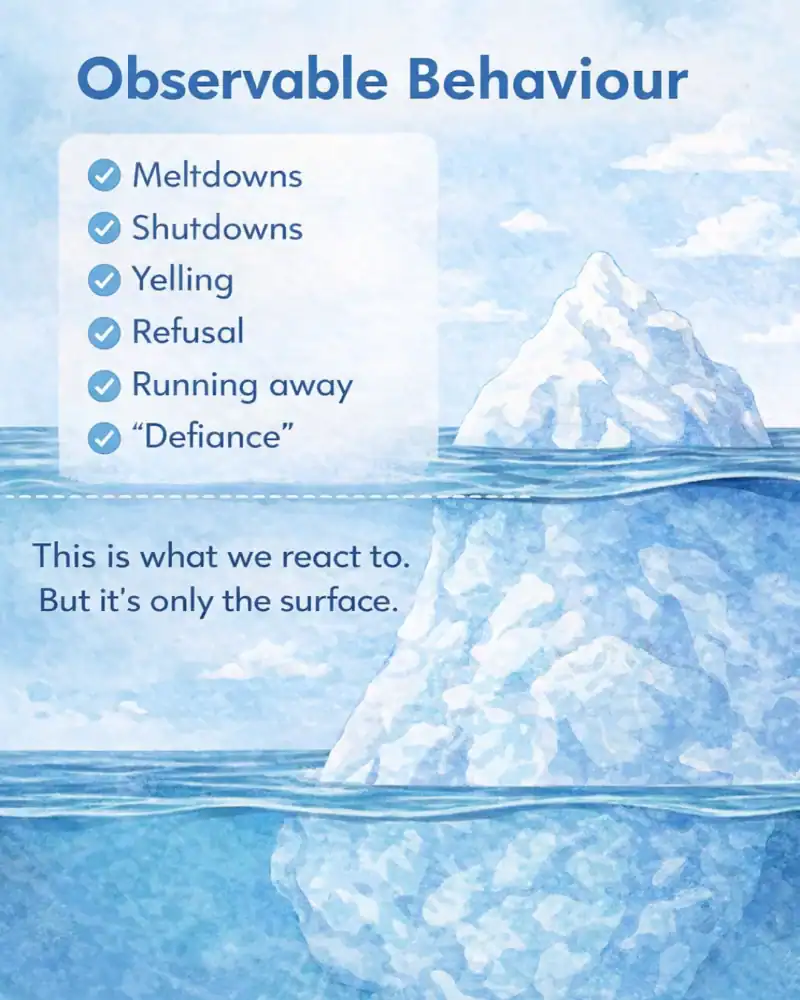 Observable behaviour — above the surface